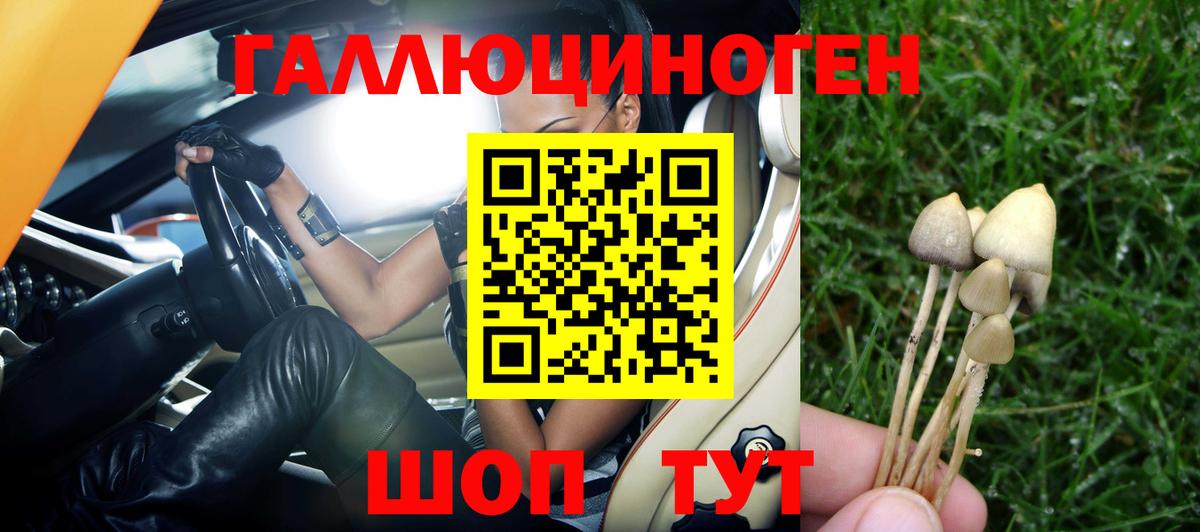 Галлюциногенные грибы GOLDEN TEACHER  Псилоцибиновые грибы MAGIC MUSHROOMS  Екатеринбург  Вход с VPN 